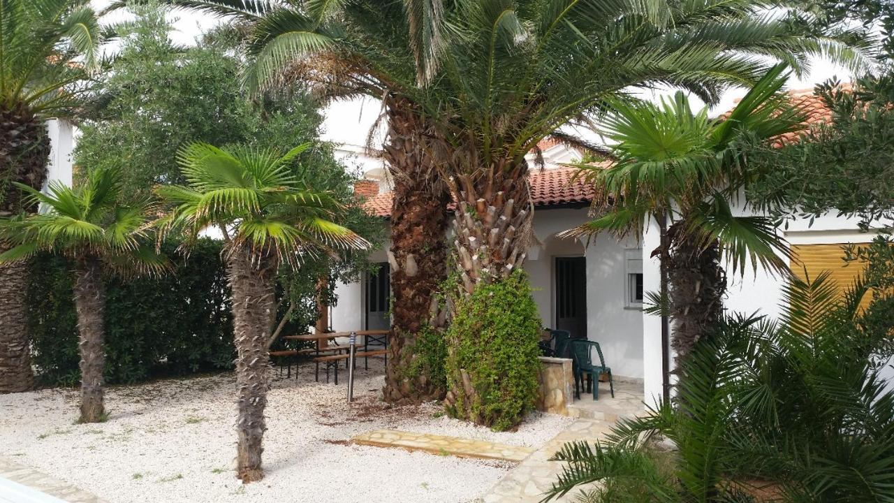 Beach Boy & Pool Girl Apartments Vir Cameră foto
